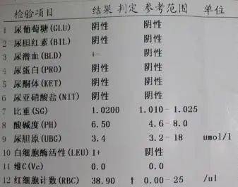 全面解读AI血液检查报告单：如何分析指标、识别异常与了解健状态