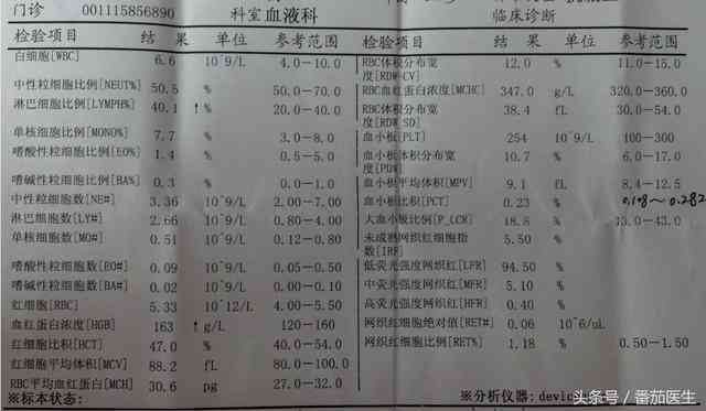 ai血液检查报告