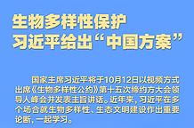 如何借助原生应用成为写作高手：在应用商店发掘必备条件的秘诀