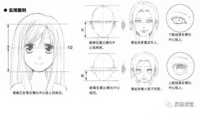 全面解析二次元人物脸型绘制技巧：从基础到高级实战指南