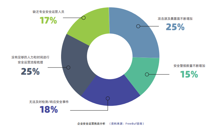 发布安全战略报告：揭秘真相，确保之一安全