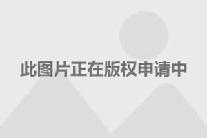 打造福瞬间：这个AI助我们每个女孩抖音上吹爆每款婚纱照文案