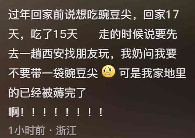 一家三口福馨时刻：精选朋友间分享的文案、说说与句子