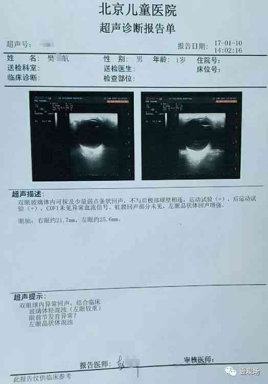 医院报告生成软件：综合诊断报告生成工具与名称一览