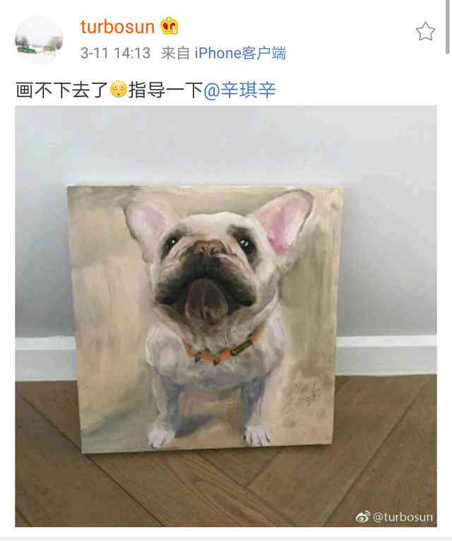 宠物ai绘画特效文案简短