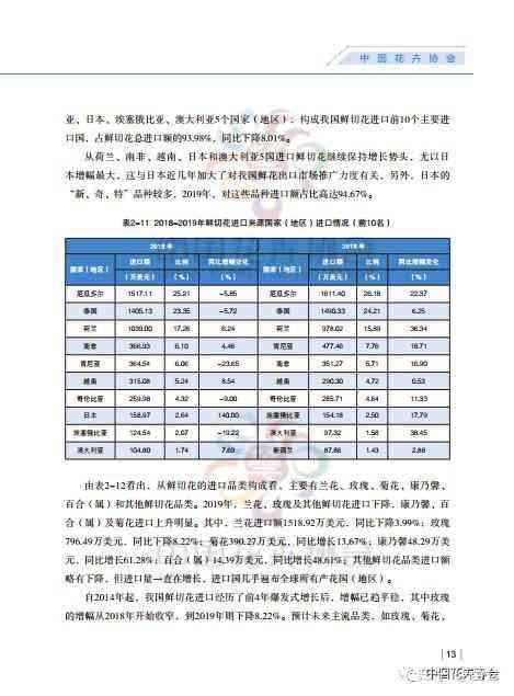 足球比赛数据分析报告模板撰写指南：如何高效利用数据进行分析与报告制作