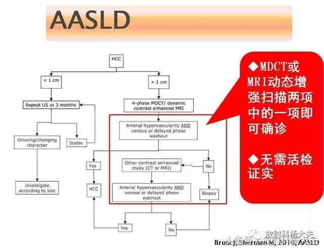 AI辅助核磁共振检测：报告生成速度与常规检查流程全面解析