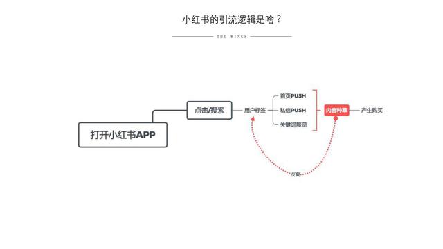 小红书引流利器：全新小红脚本助力内容推广