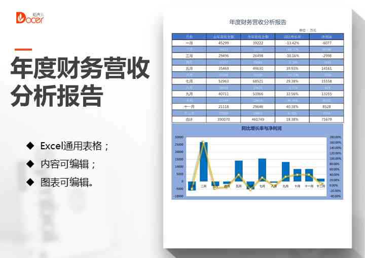 财务数据年度汇总报告