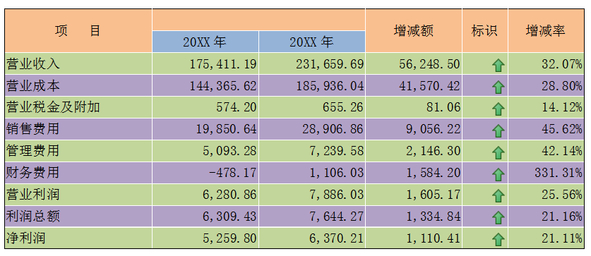 财务数据年度汇总报告