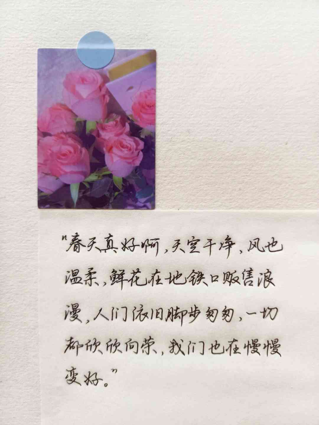 花文案素材：摘抄与免费     