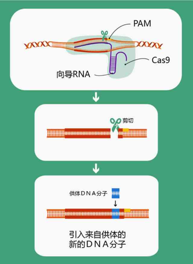 深入解析：AI智能写作技术的原理是什么？