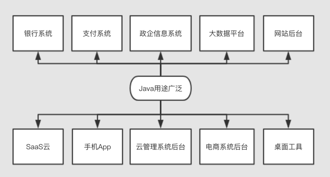 AI开发全解析：常用编程语言及工具选择指南