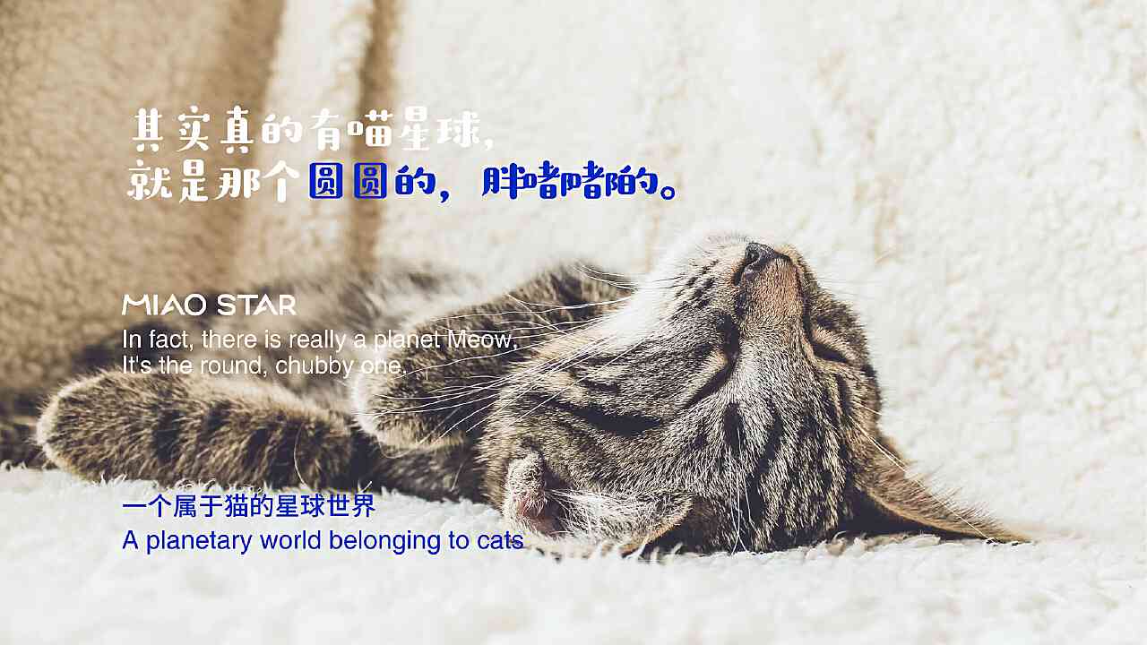 ai猫星人的文案