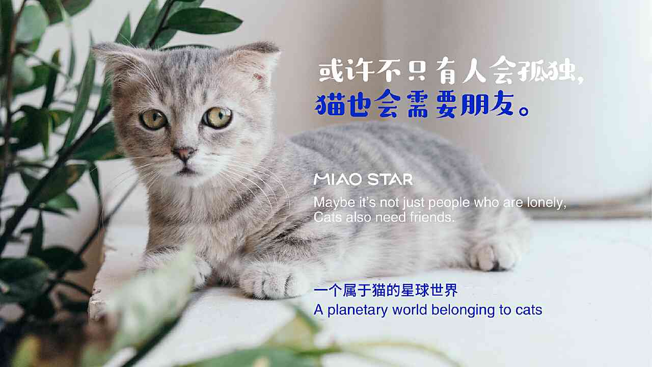 ai猫星人的文案