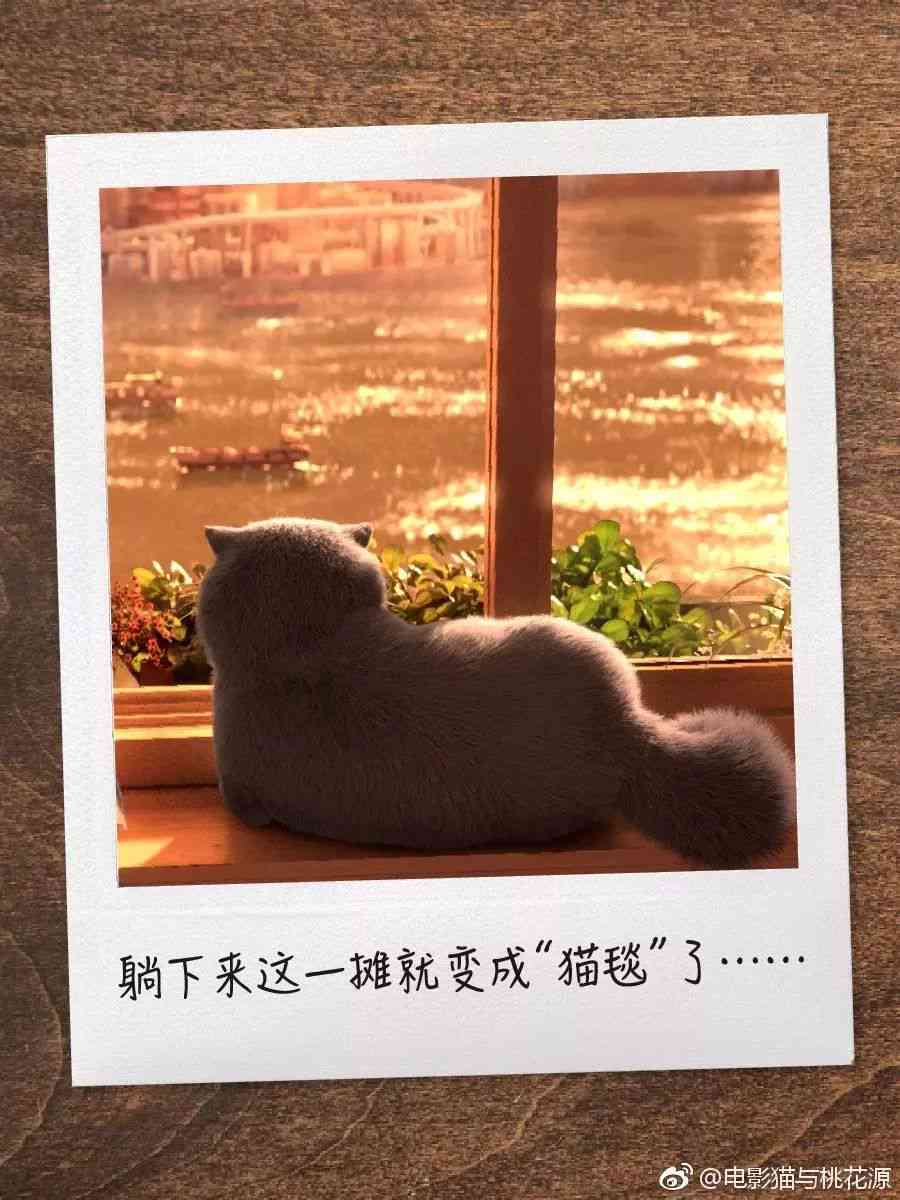 ai猫星人的文案