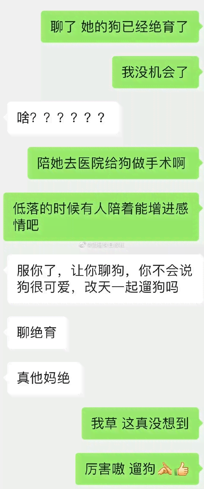 性别转换：男孩到女孩的完整故事与心路历程解析