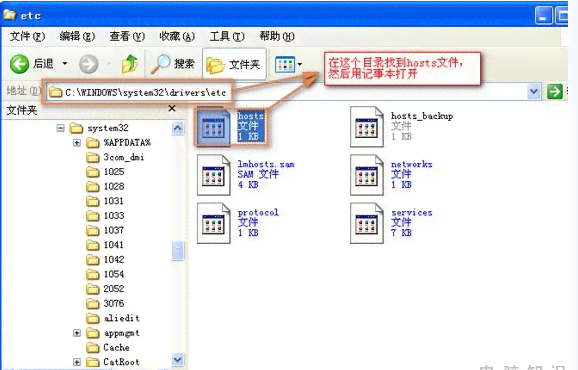 AI助手：如何自定义设置与添加个性化功能，全面解答用户常见问题