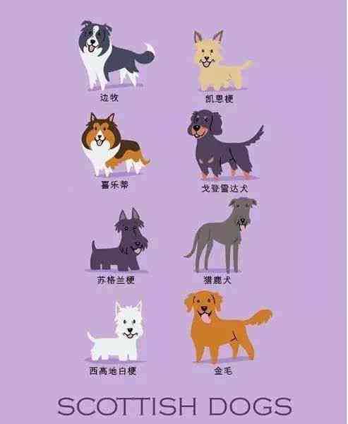 犬ai绘画文案