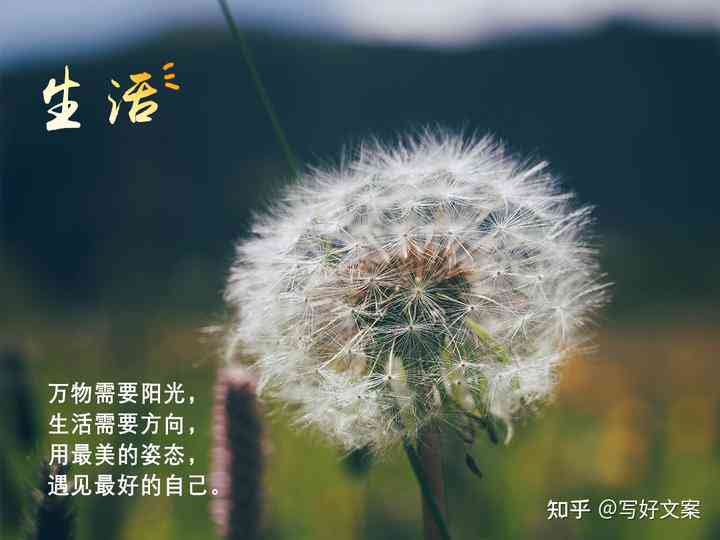 文案房子走心：如何写吸引人的房子文案，打造干净治愈阳光的短句