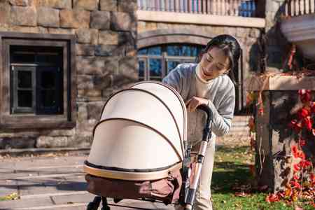 妈妈馨推着婴儿车：正版高清图片素材，免费元素与婴儿车可爱瞬间