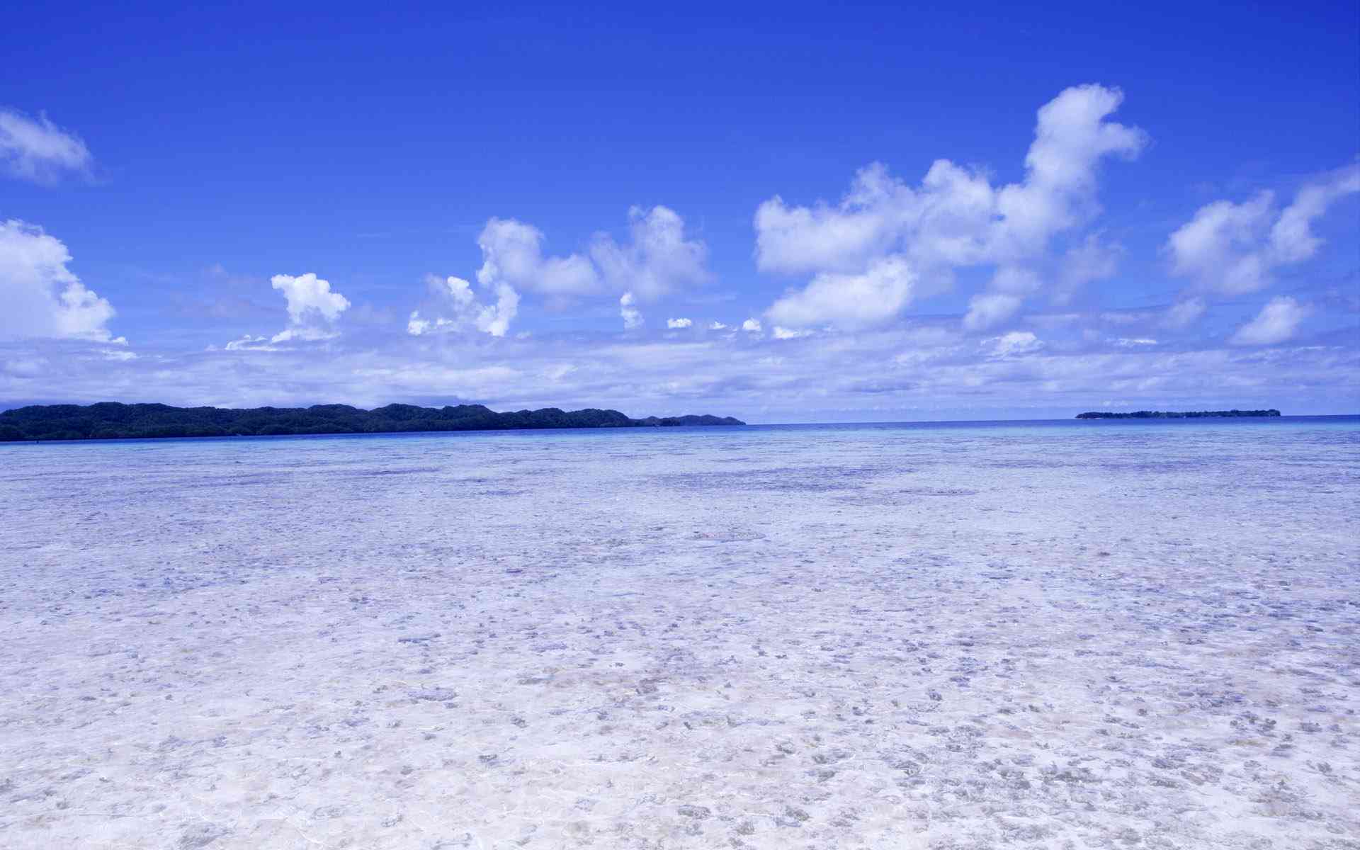 帮我润色下面这句话：拥有海边静海景房，与朋友共海浪，文案源自文库