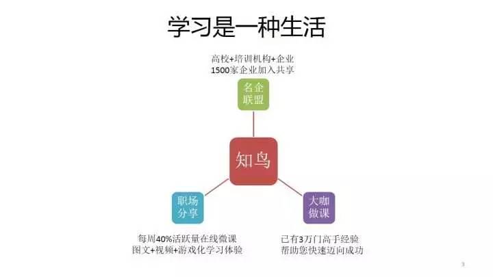 深入解析：LOGO设计全流程指南与创意构思秘诀