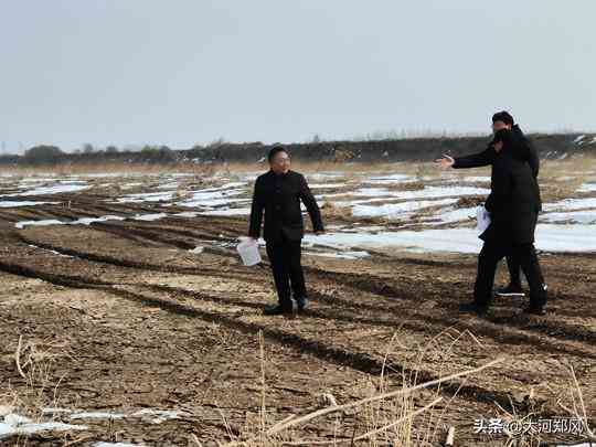 鸟类监测的主要内容：包括内容、设备与报告概述