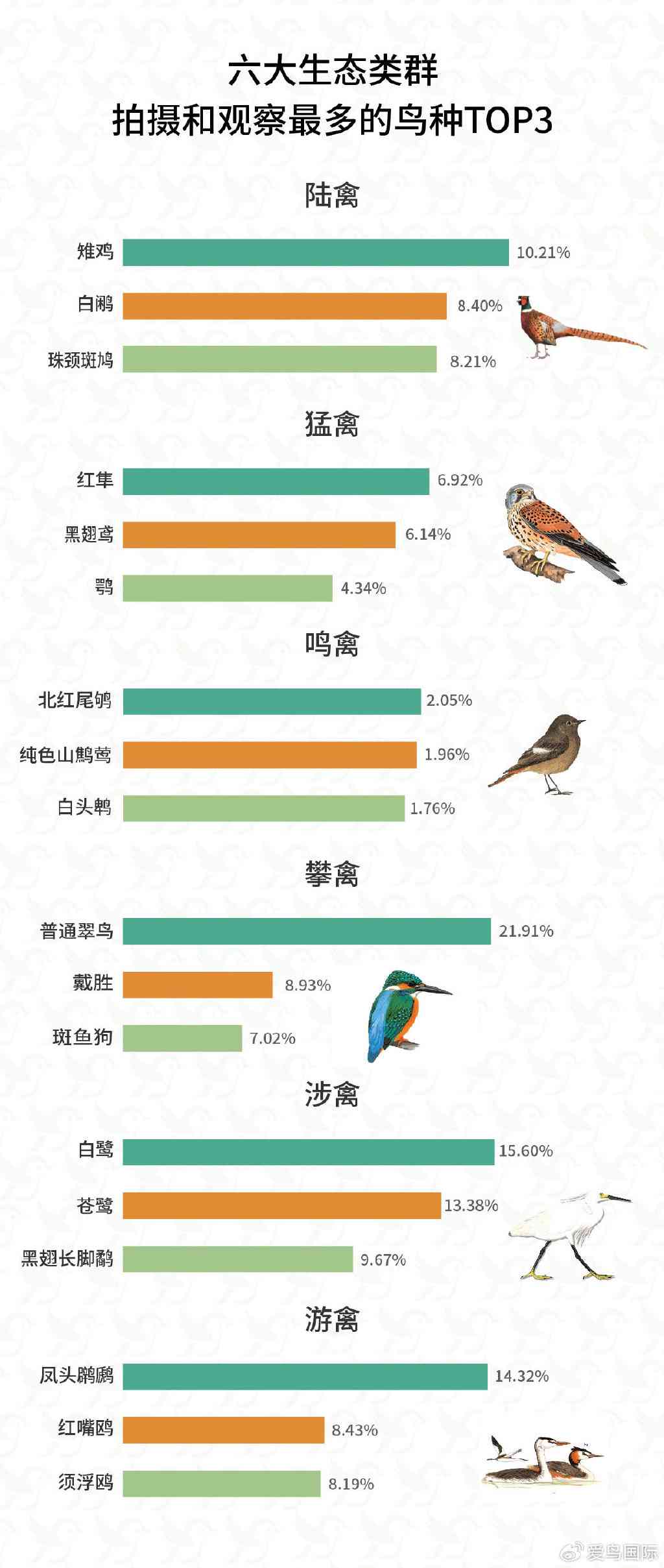 AI鸟类监测报告