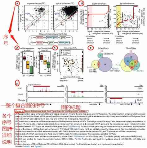 全面解析：学术论文数据分析必备软件与工具指南