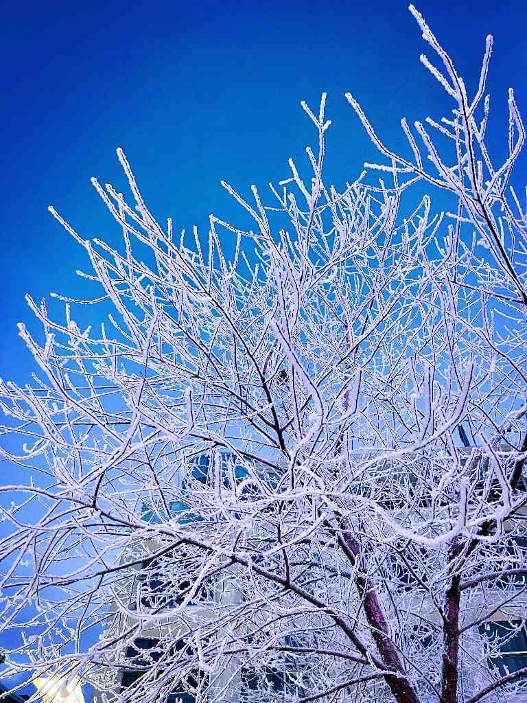 雪树银花ai文案