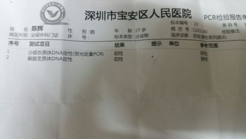 ai肺结节良恶性辅助鉴别检测报告：撰写指南与诊断解读