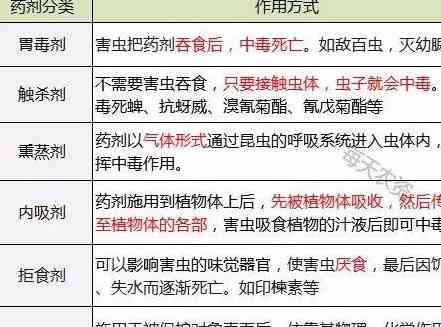 全方位论文写作助手：矛矛虫功能解析与高效辅助技巧