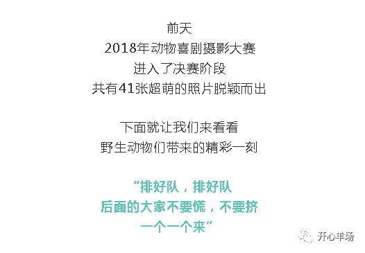 全面收录：拍照必备搞笑语录与趣味摄影金句指南