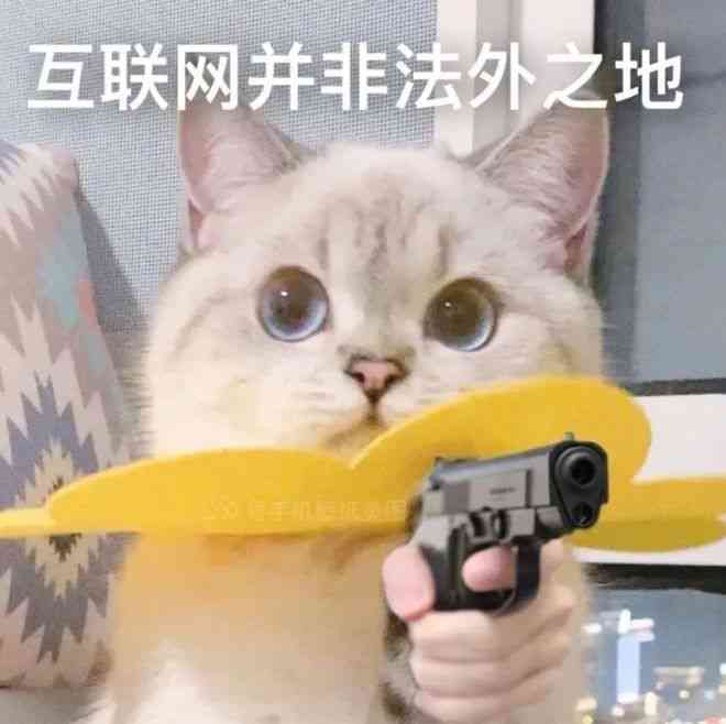 猫头编辑：在线制作表情包与素材生成器