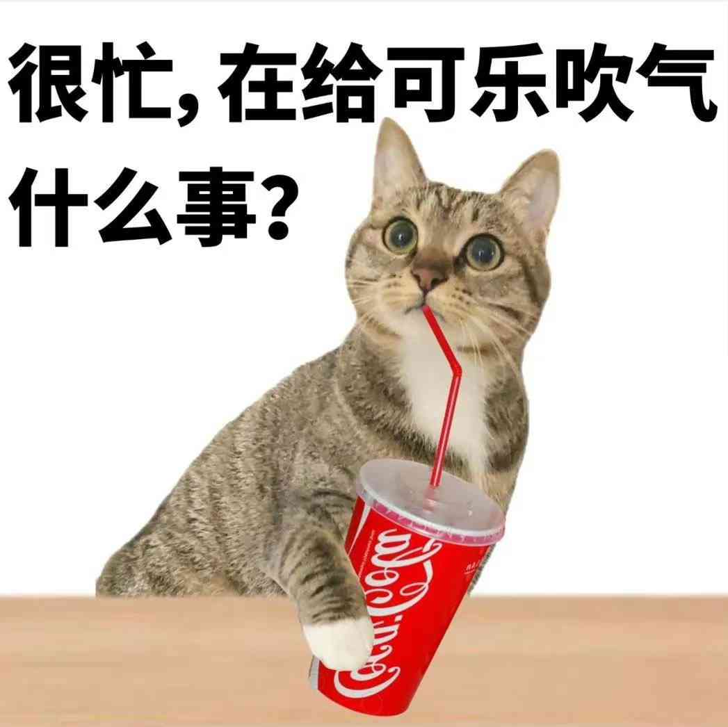 猫头文字表情包：可爱，含丰富文字表情