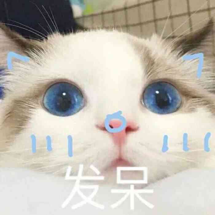 猫头文字表情包：可爱，含丰富文字表情