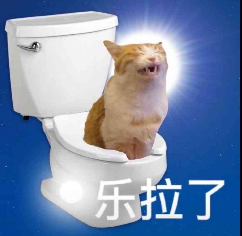 一只猫的搞笑表情子：沙雕猫欢乐无限