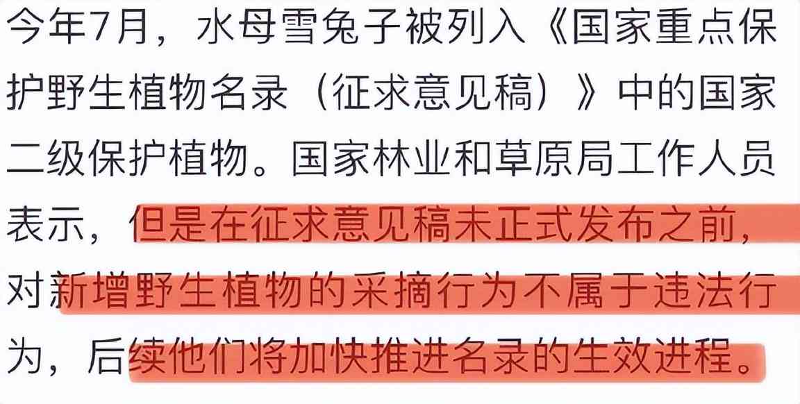 法不溯及既往原则的详细解析及其在现代法律体系中的广泛应用