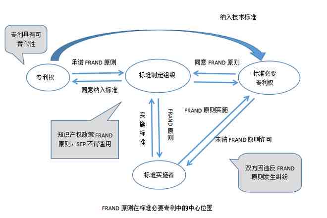 法律原则下既往不究的理论依据与具体应用