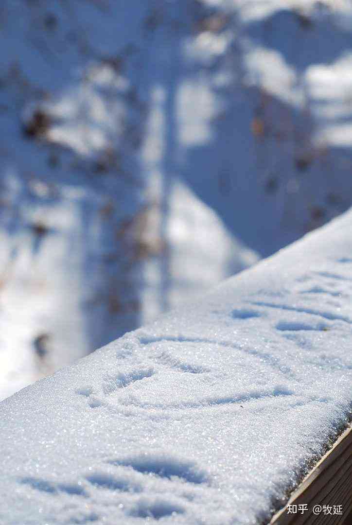 ai绘画初雪文案怎么写的好看又好，写法探讨