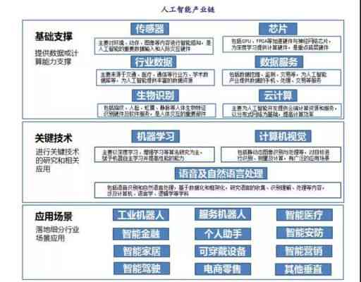 掌握AI技能后可选的职业路径与未来发展方向解析