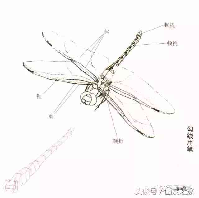 蜻蜓AI写作官网与介绍：蜻蜓笔写作体验评价