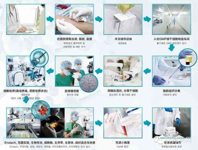 液态干细胞技术助力细胞抗衰老：焕新肌肤活力