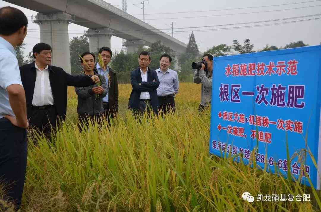 全方位细胞抗衰老攻略：揭秘缓衰老的科学方法与实用技巧