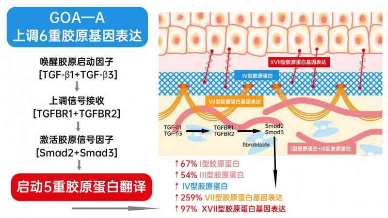 ai细胞抗衰文案意义