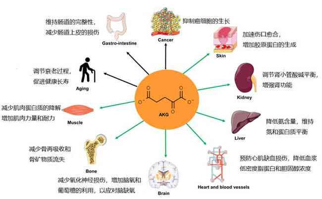 ai细胞抗衰文案意义