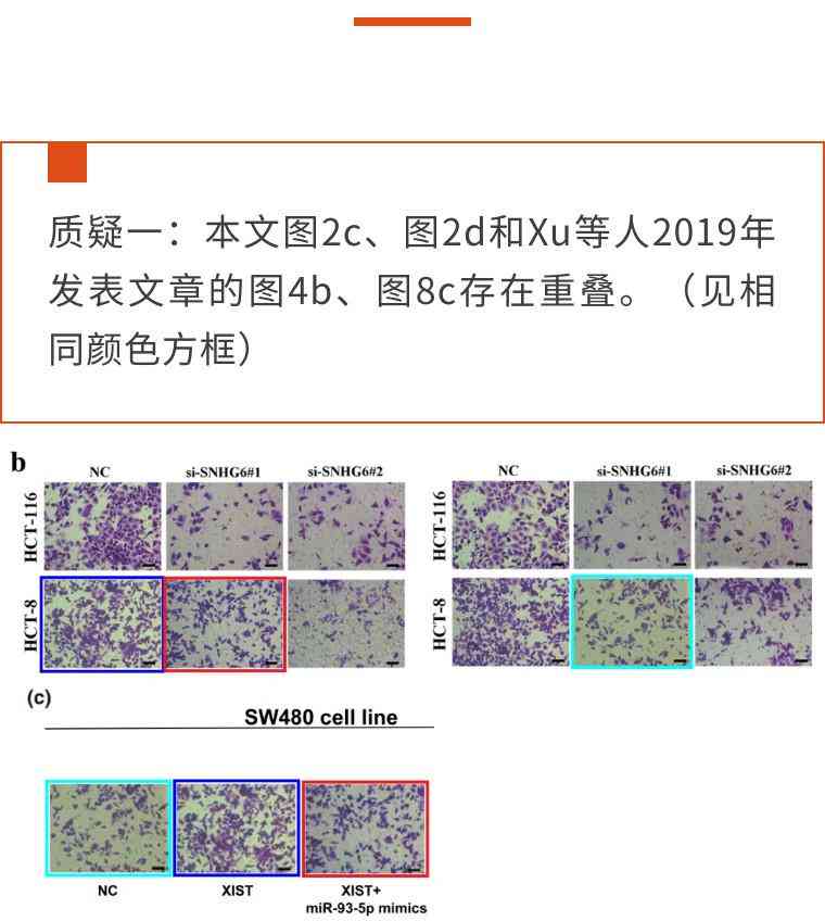 AI写作论文查重率、抄袭风险、检测方法及推荐软件综述