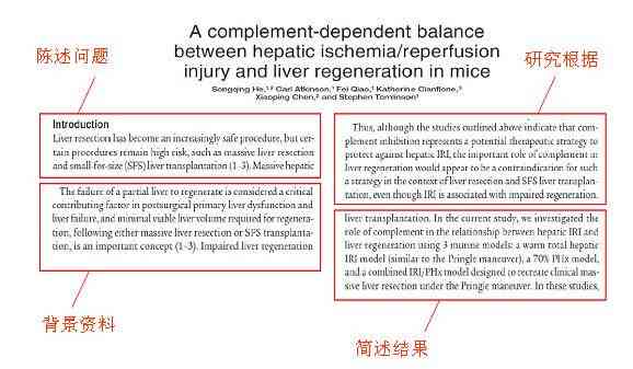 全面指南：AI论文写作关键提示词及实用技巧解析