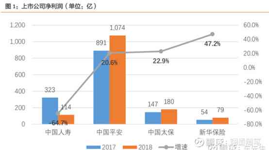 中国平安调查报告：综合总结、范文撰写、深度分析及调研成果